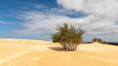 Imagem ilustrativa: Austrália: Dunas de areia sob céu azul com nuvens