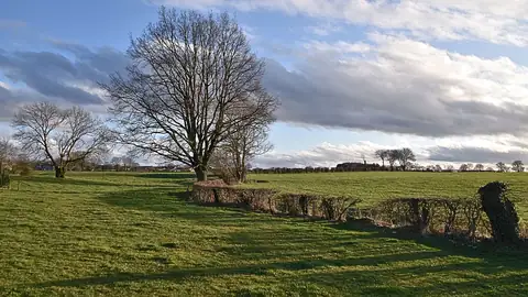 Imagem ilustrativa: Bélgica: Campo verde com árvores e céu azul