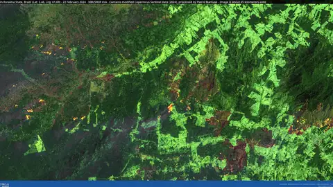 Imagem ilustrativa: Roraima: Incêndio florestal na região amazônica