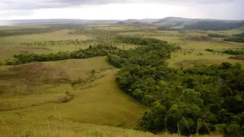 Imagem ilustrativa: Roraima: Vasta paisagem com vegetação e montanhas