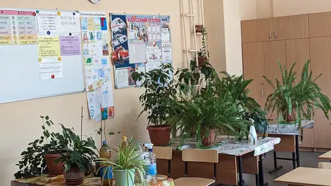 Imagem ilustrativa: Sala de aula vazia com plantas nas mesas