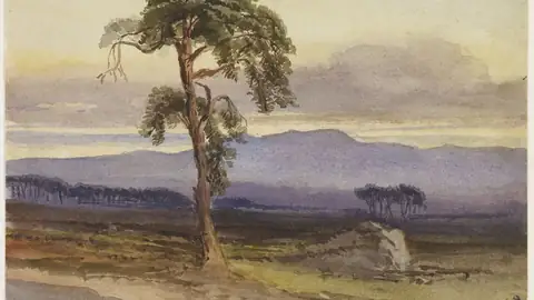 Imagem ilustrativa: Reino Unido: Paisagem montanhosa com árvore solitaria