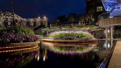 Imagem ilustrativa: Los Angeles: Pátio iluminado à noite com água e plantas