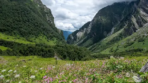 Imagem ilustrativa: Índia: Vale montanhoso com flores silvestres