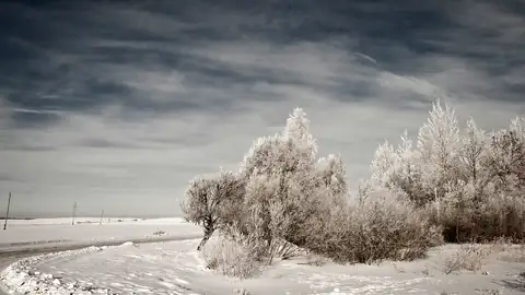 Imagem ilustrativa: Letônia: Paisagem invernal com árvores cobertas de gelo
