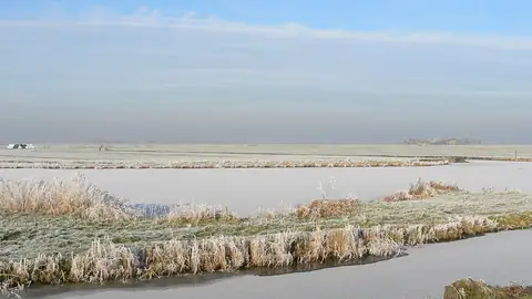 Imagem ilustrativa: Países Baixos: Paisagem de inverno com gelo e vegetação seca