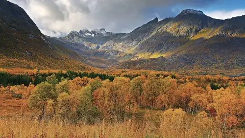 Imagem ilustrativa: Noruega: Paisagem montanhosa com floresta em tons de outono