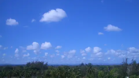 Imagem ilustrativa: Porto Rico: Vista com palmeiras e céu azul