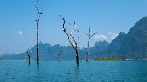 Imagem ilustrativa: Tailândia: Árvores flutuantes em lago azul com montanhas