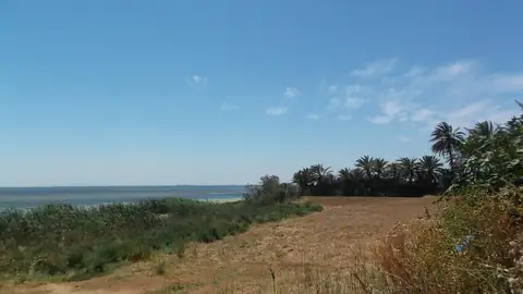 Imagem ilustrativa: Tunísia: Campo aberto com vista para o mar